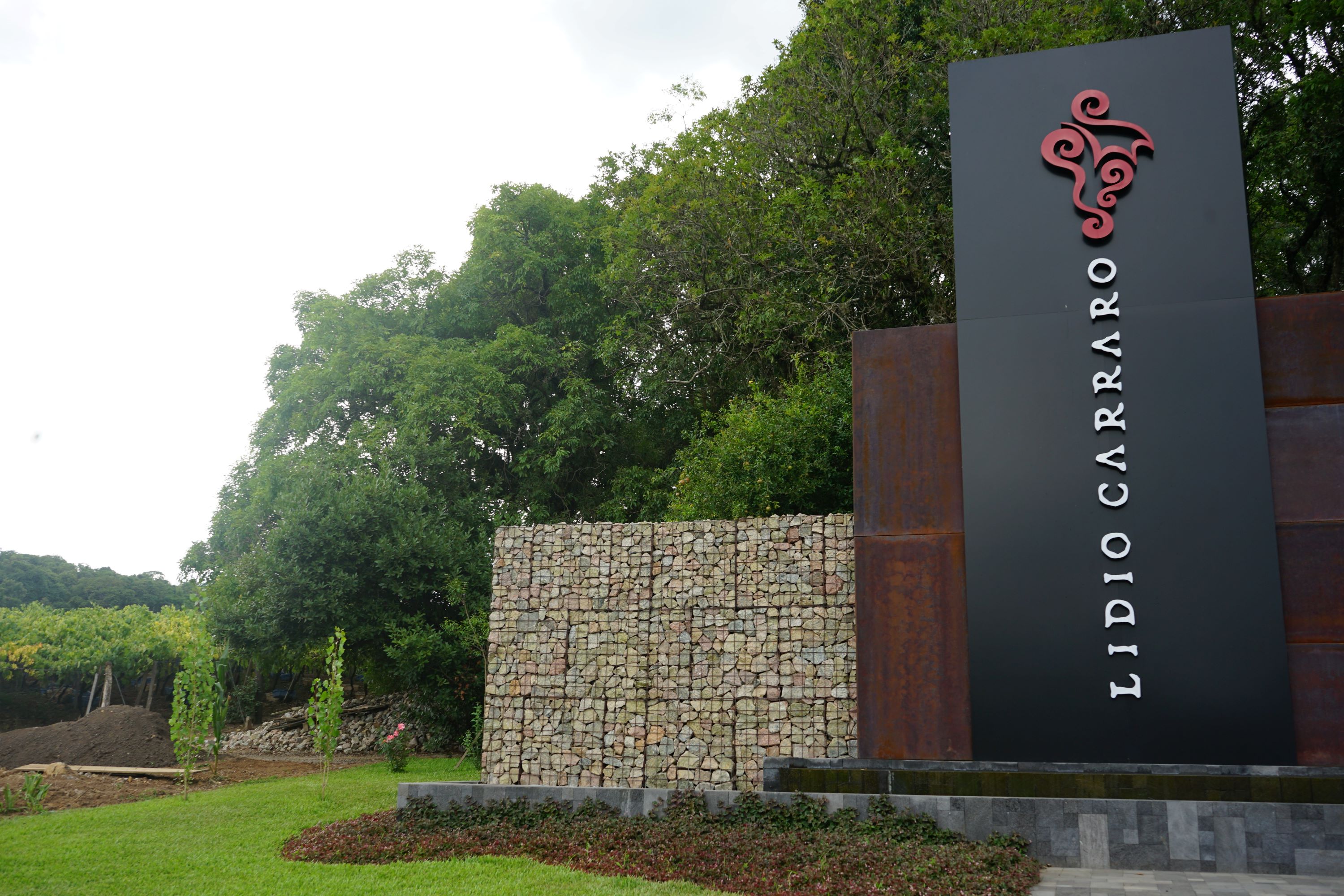 Vinhuset - Lidio Carraro